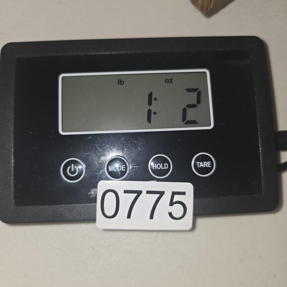 Azalea Wang Shoes Womens Size 8 Green Strappy Studded Heel Sandals SKIP-GREEN - Picture 13 of 13